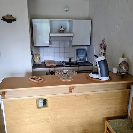 Gil Hohneck Apartment La Bresse